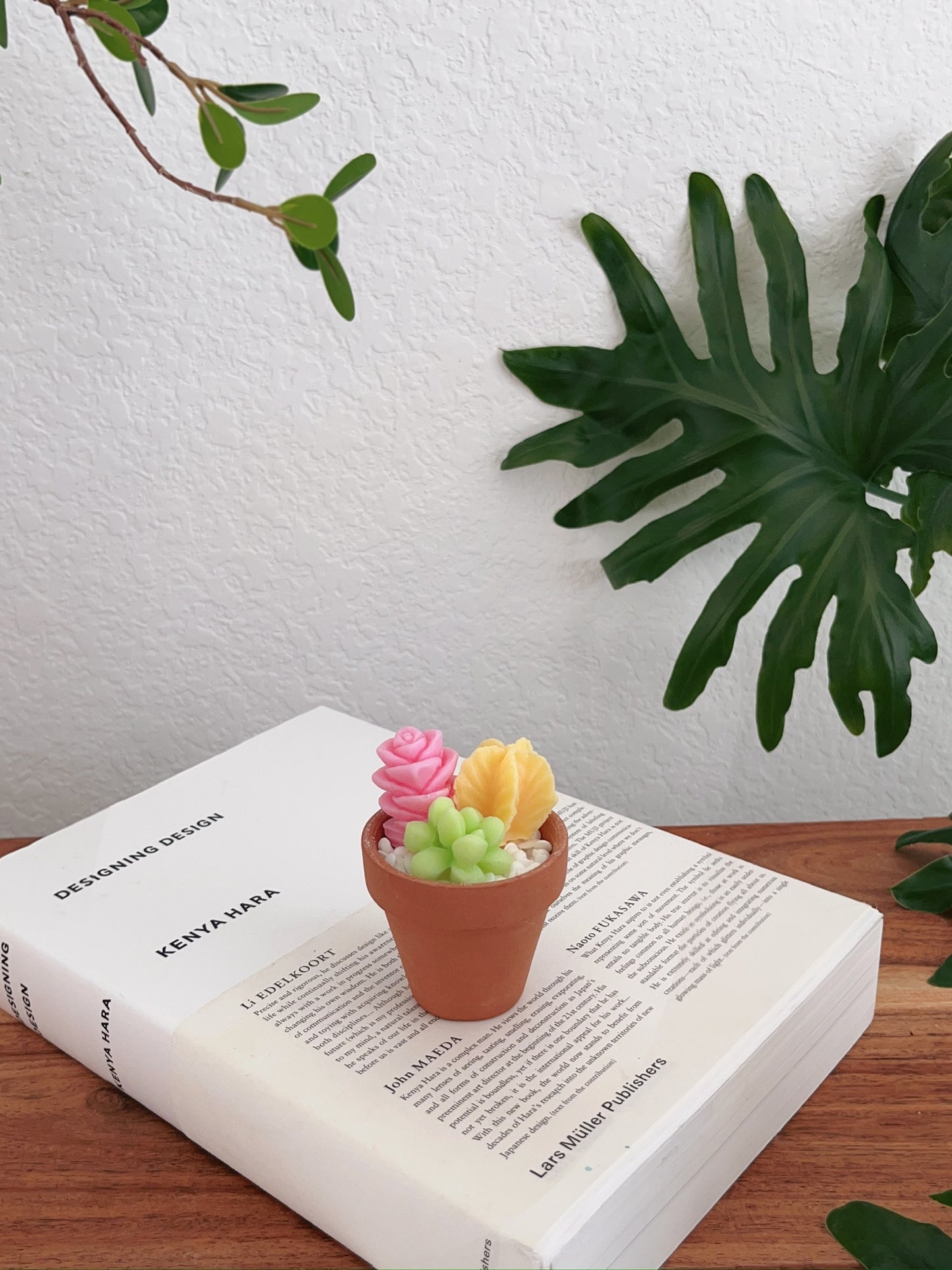Rainbow Garden Succulent Candle Pot
