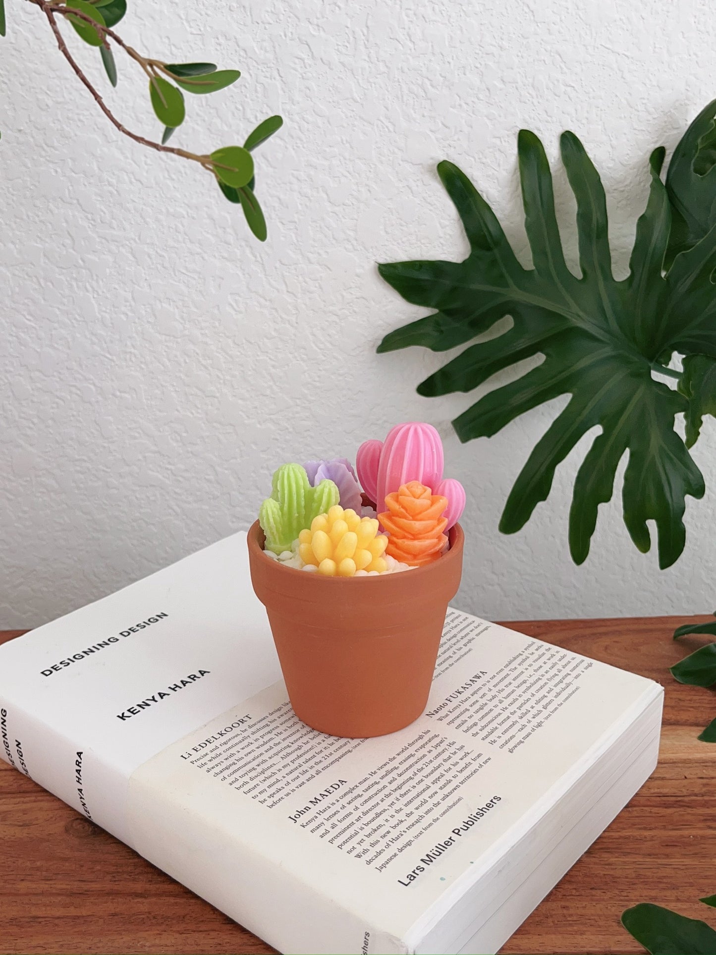 Rainbow Garden Succulent Candle Pot
