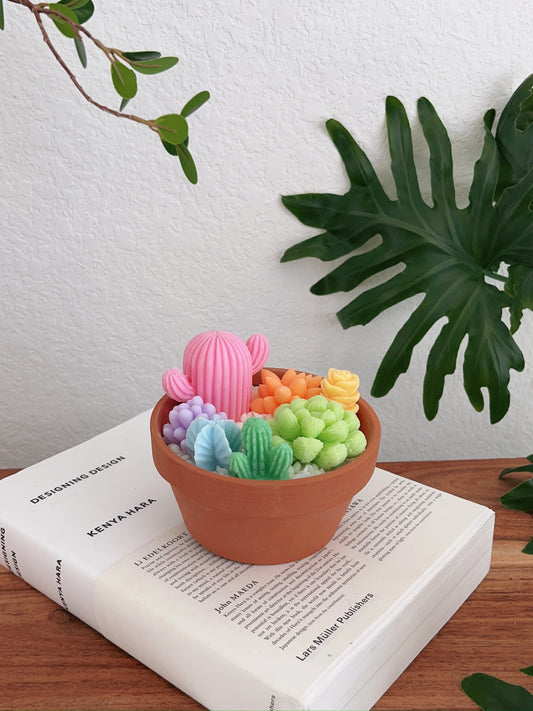 Rainbow Garden Succulent Candle Pot