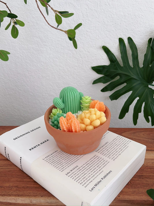 Texas Green Succulent Candle Pot