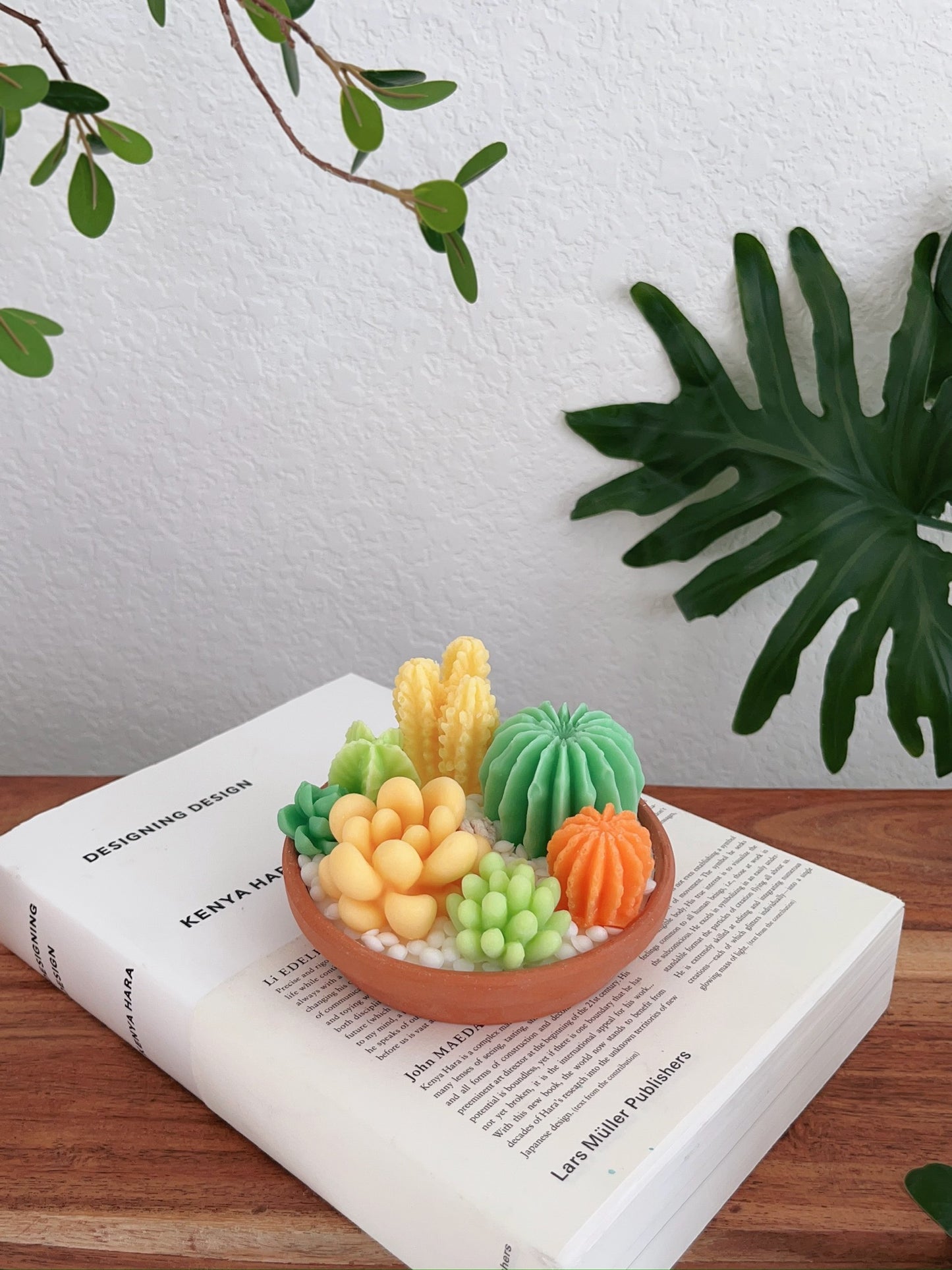 Texas Green Succulent Candle Pot