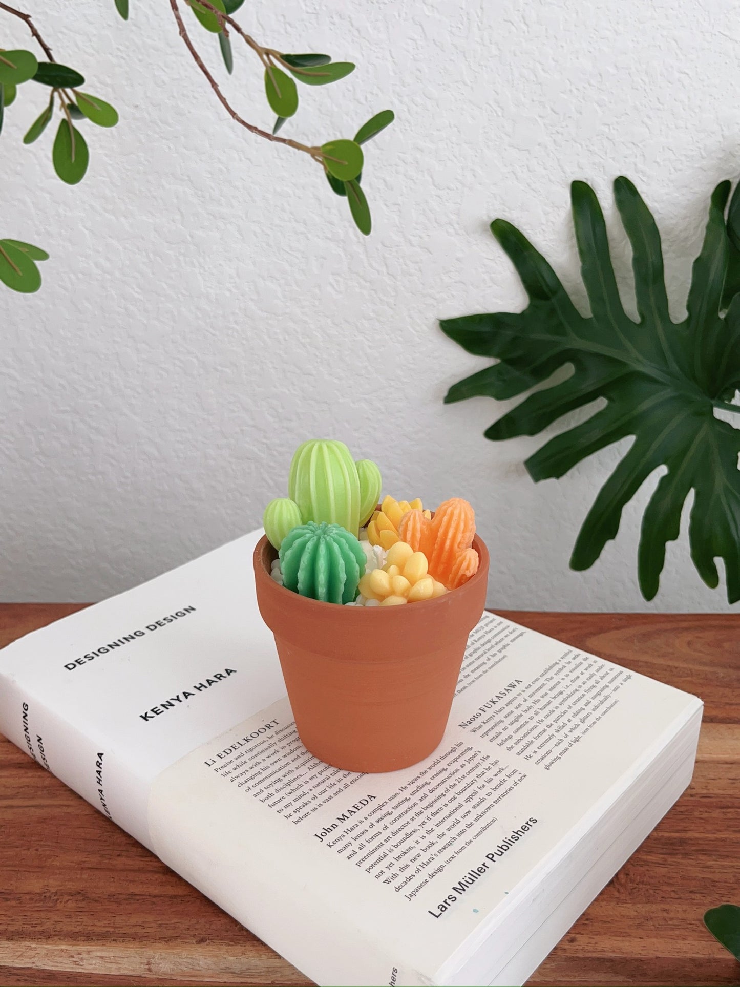Texas Green Succulent Candle Pot