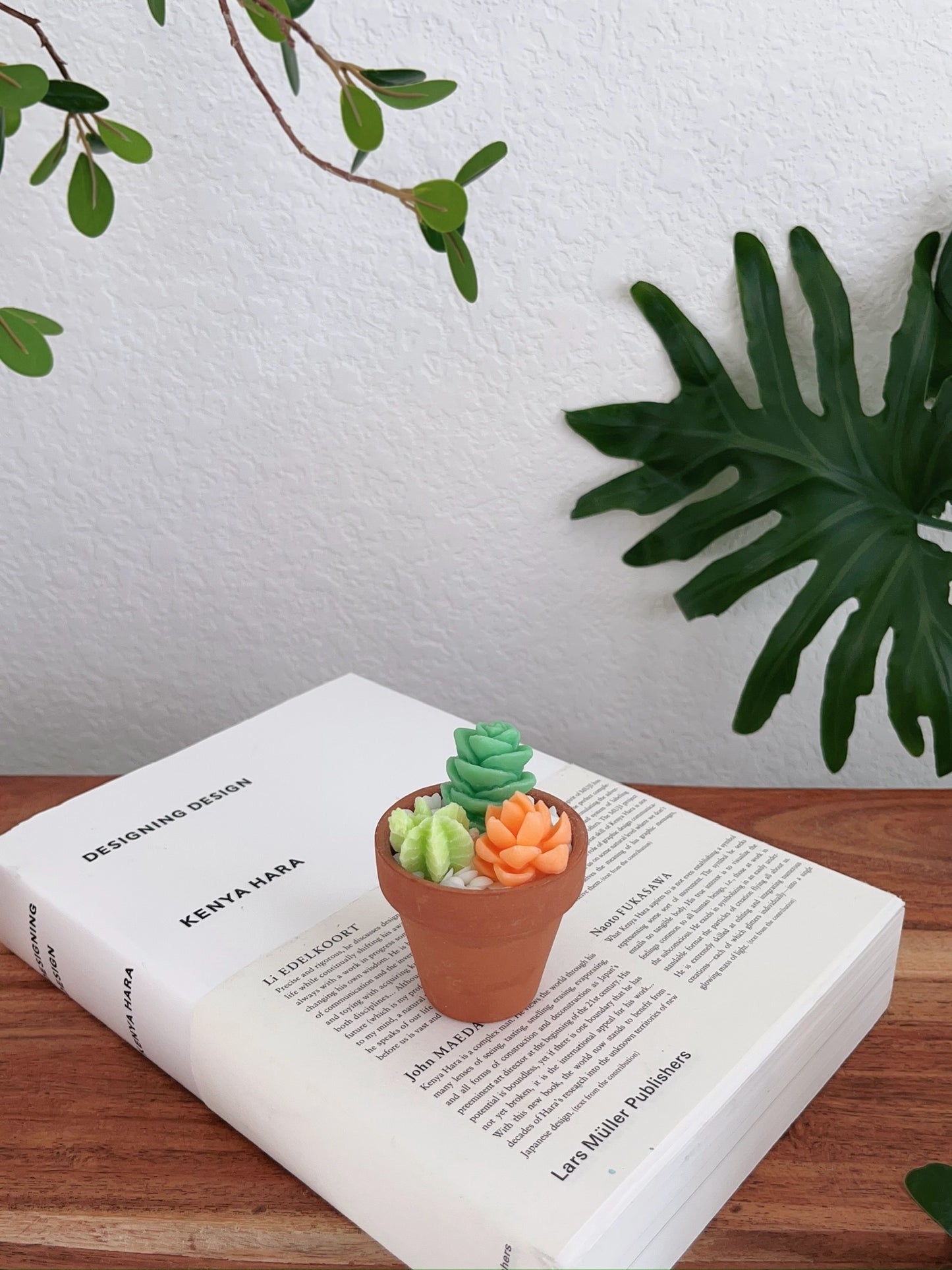 Texas Green Succulent Candle Pot